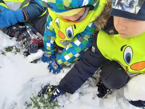 received 551854032444436.jpeg