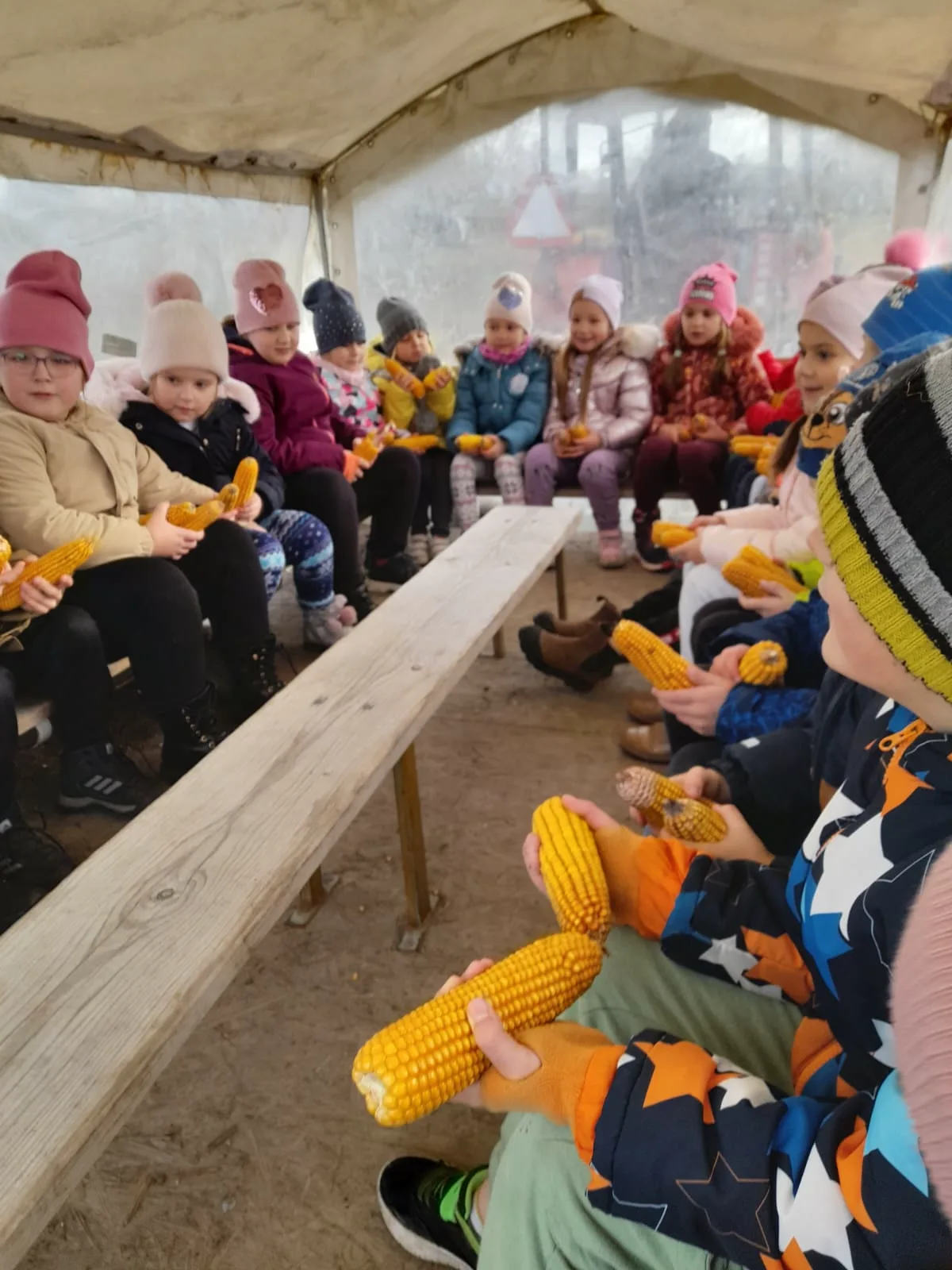 PHOTO 2023 11 15 18 40 06 2