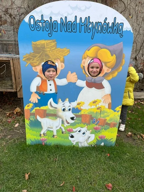 PHOTO 2023 11 15 18 40 06 4