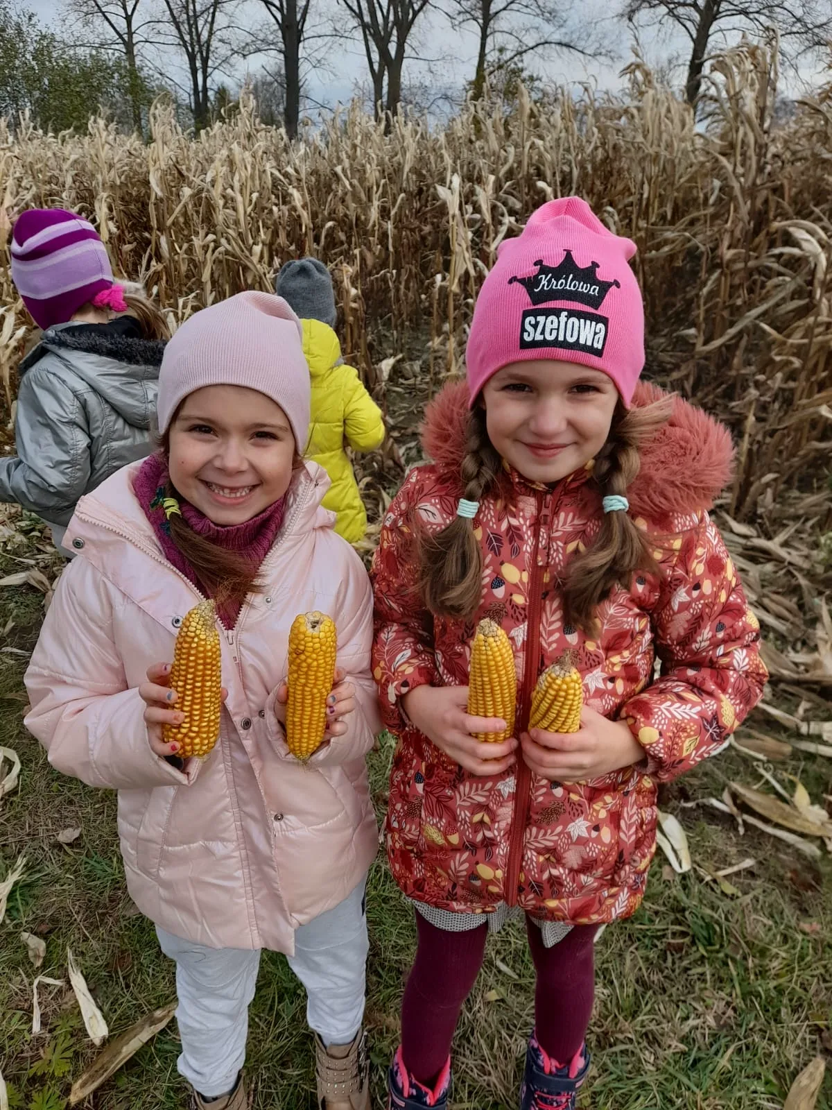 PHOTO 2023 11 15 18 40 06