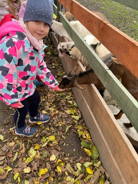 PHOTO 2023 11 15 18 40 08 2