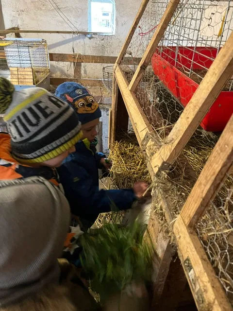 PHOTO 2023 11 15 18 40 08 3