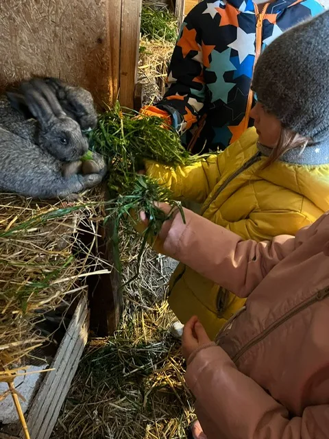 PHOTO 2023 11 15 18 40 08 4