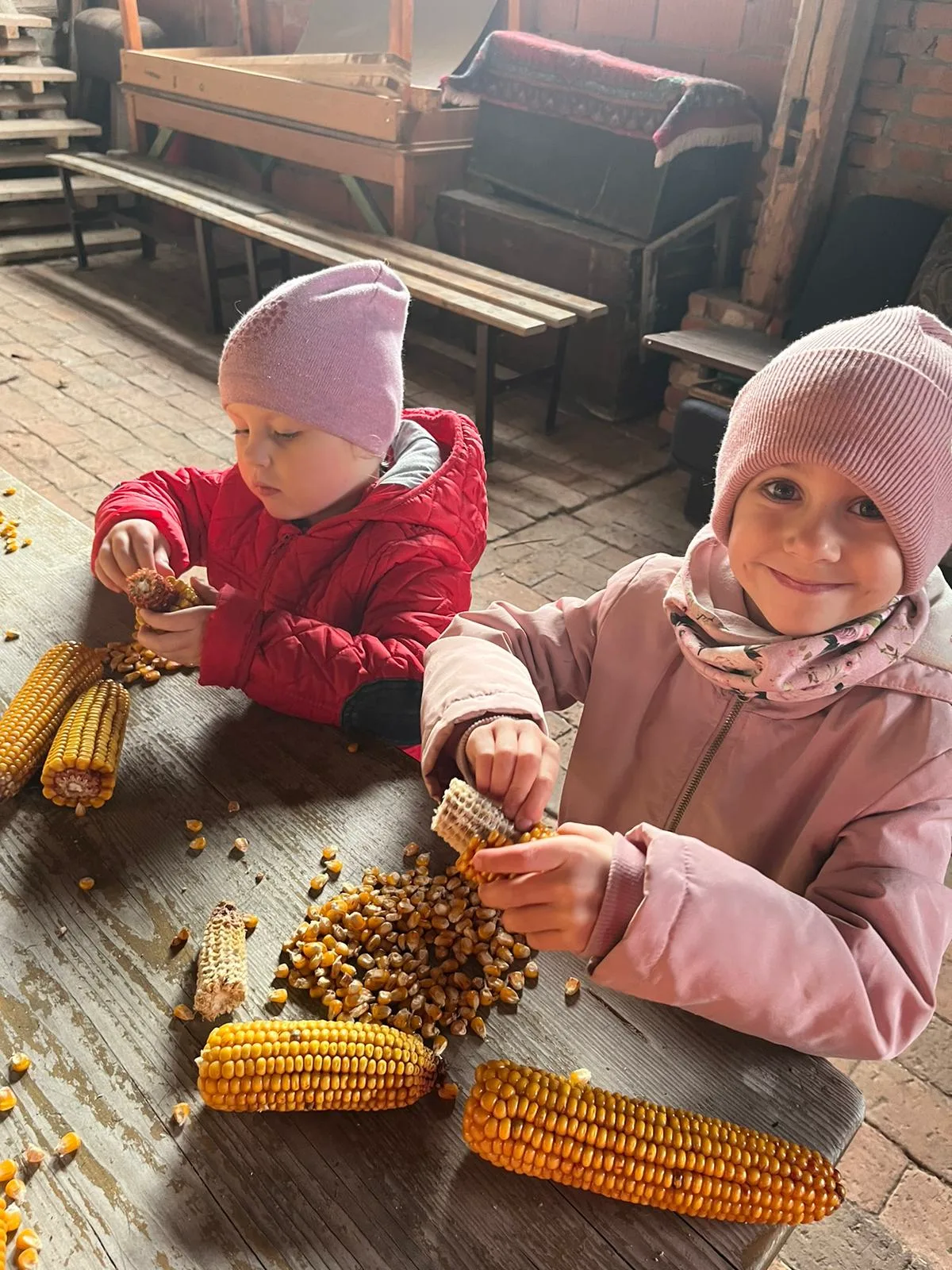 PHOTO 2023 11 15 18 40 08