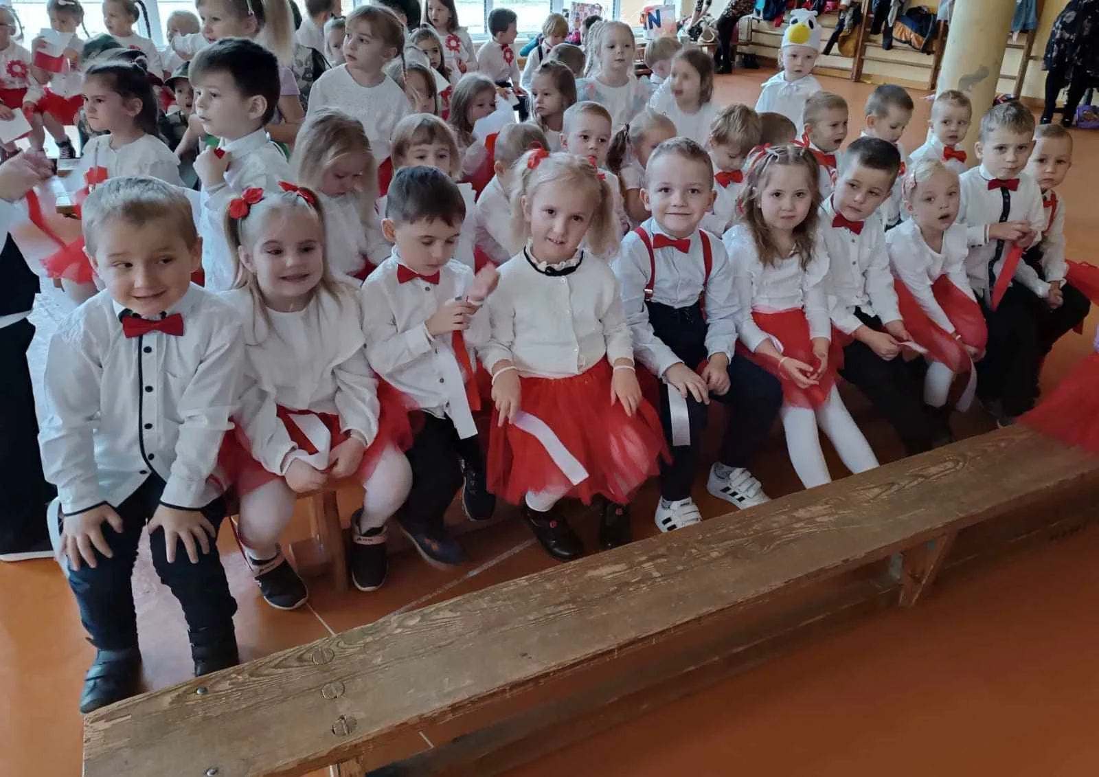 462555738 1039868367827812 7476108283168389698 n