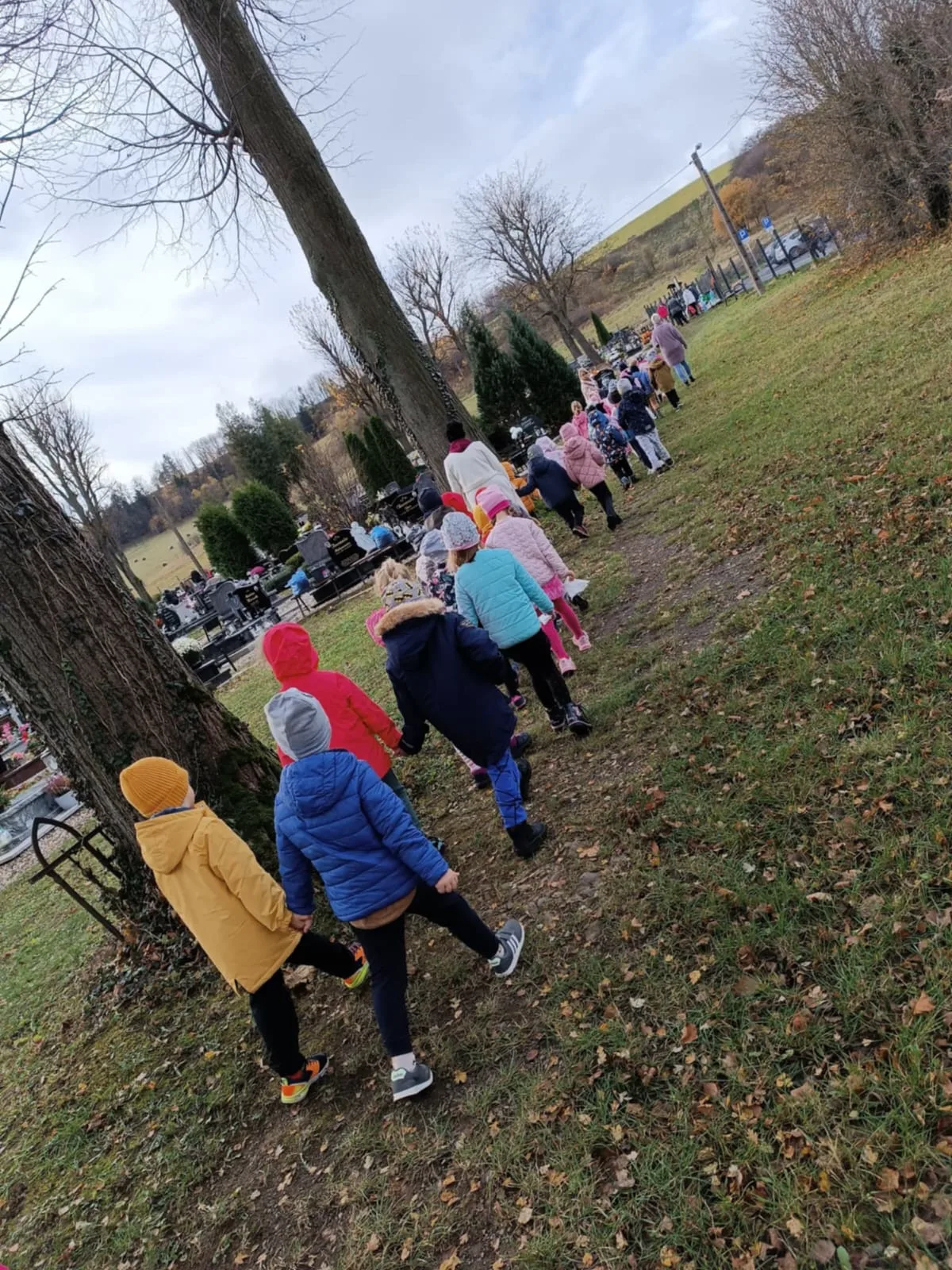 PHOTO 2024 10 31 16 16 35 2