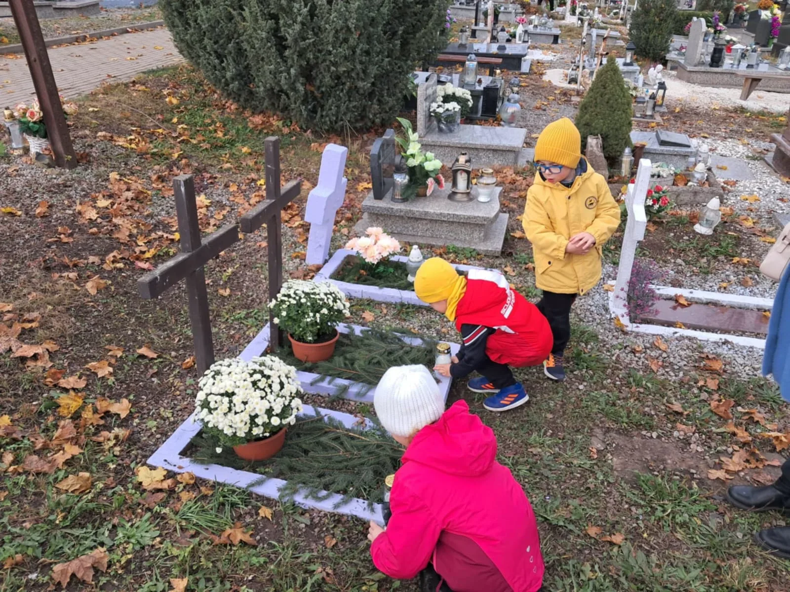 PHOTO 2024 10 31 16 16 36 7