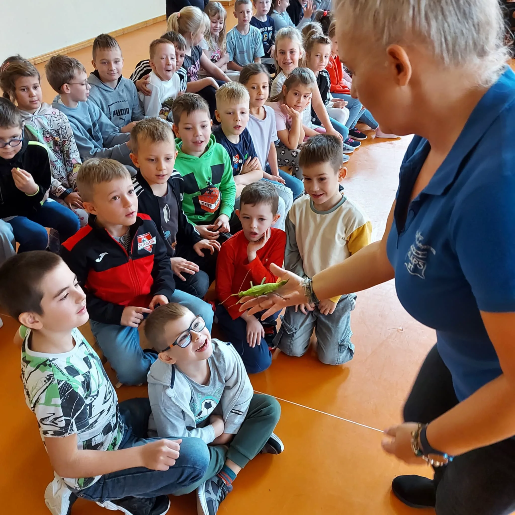 Messenger creation 228F2598 38CE 4283 BE26 0B047347DB3F.jpeg