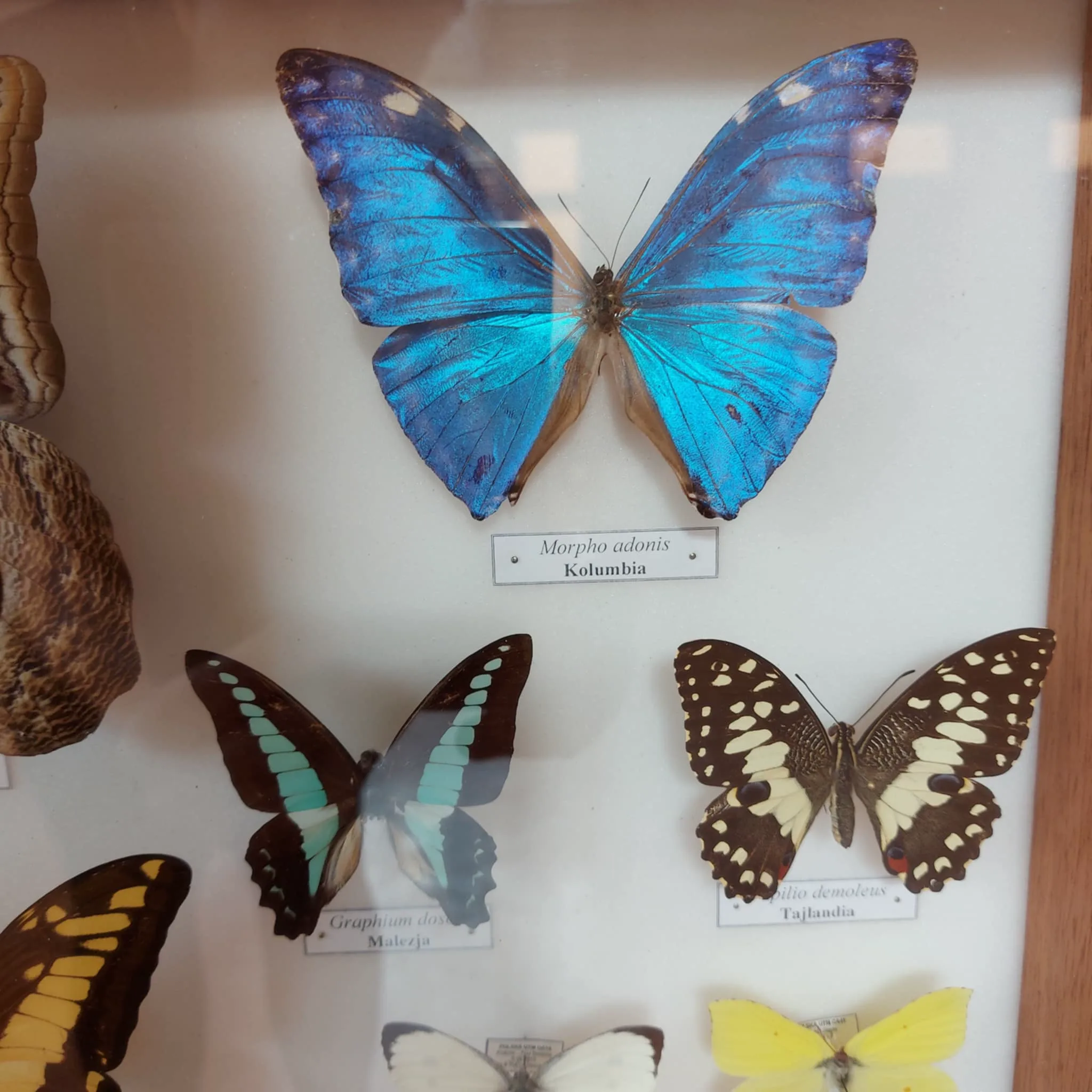 Messenger creation 4ECC743D B490 477A 9C5E 3C5CFB48C842.jpeg