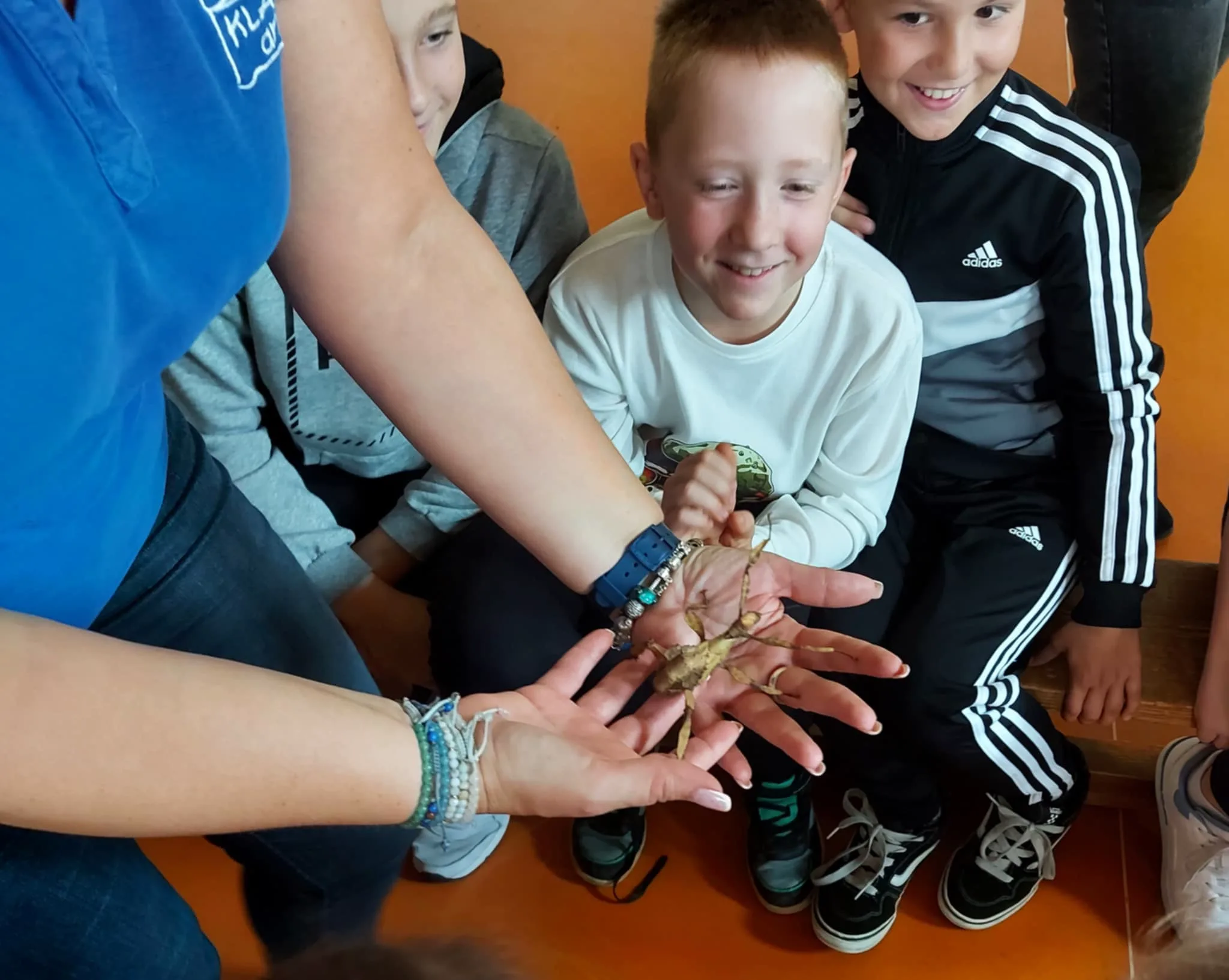 Messenger creation F148F479 FE7C 48C4 A904 A5EFB7AFE4C2.jpeg