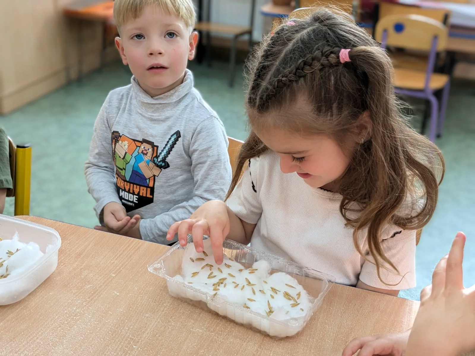 PHOTO 2024 11 12 16 27 35 3