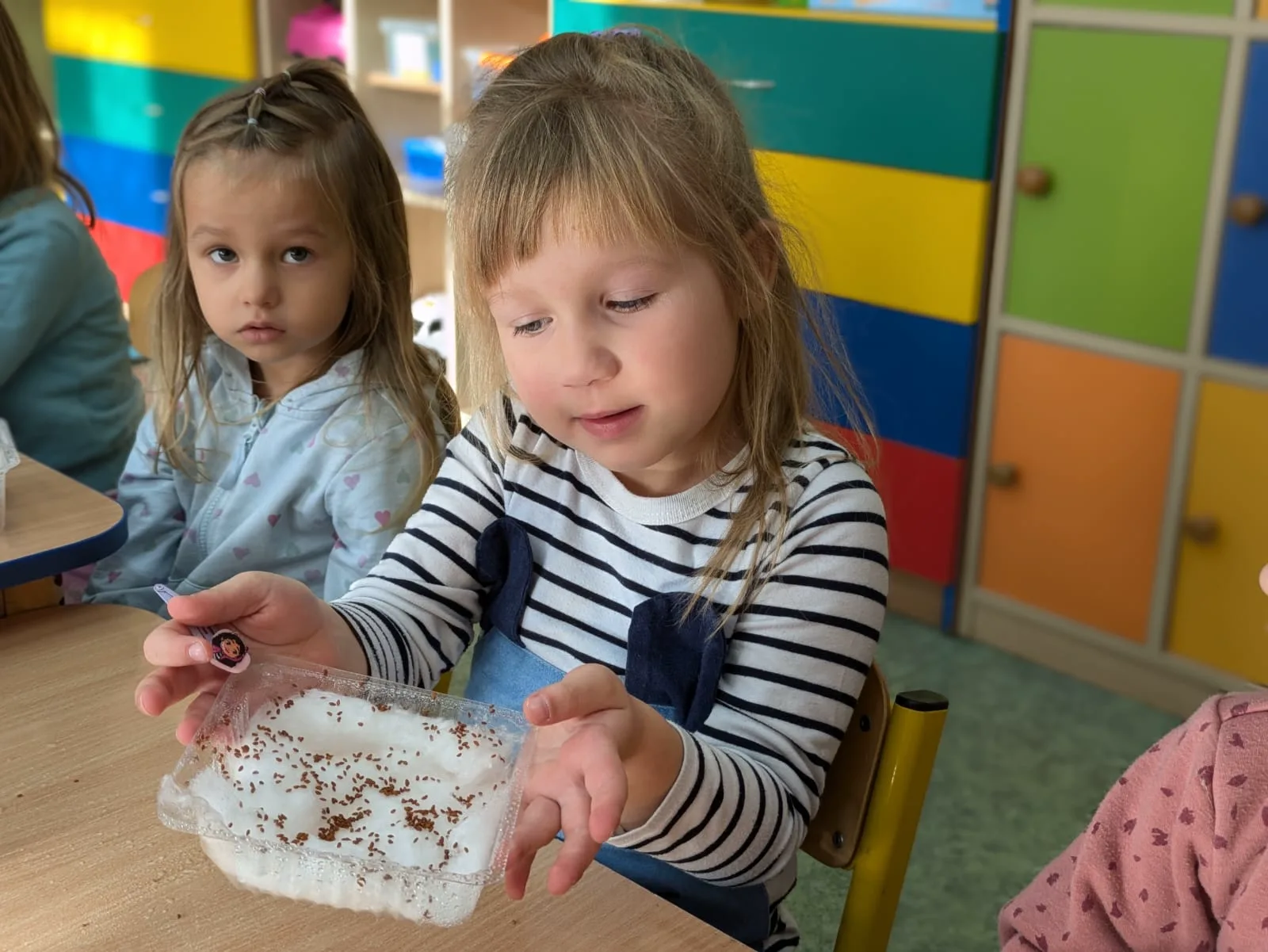 PHOTO 2024 11 12 16 27 35 4