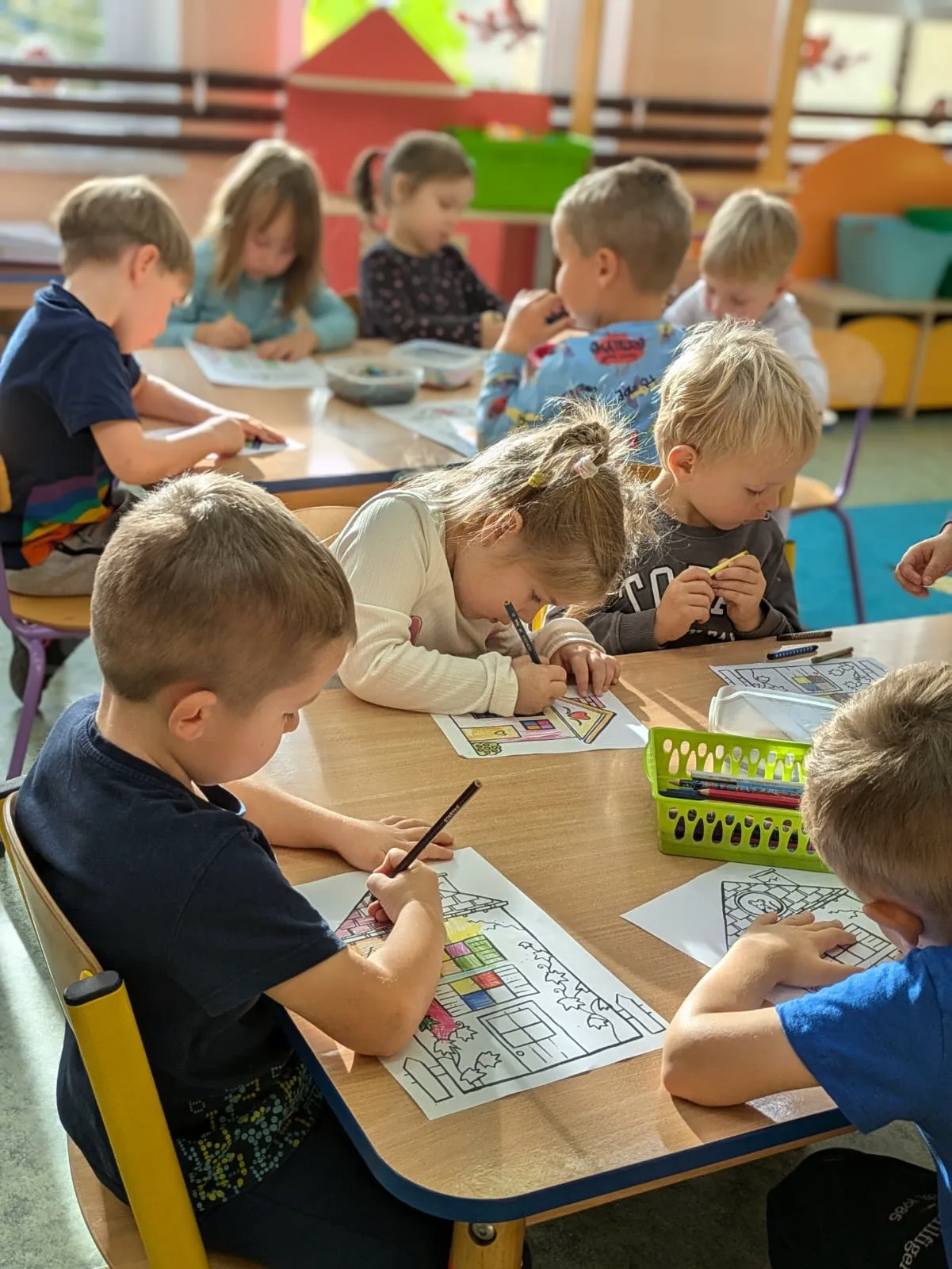 PHOTO 2024 11 12 16 27 35 5