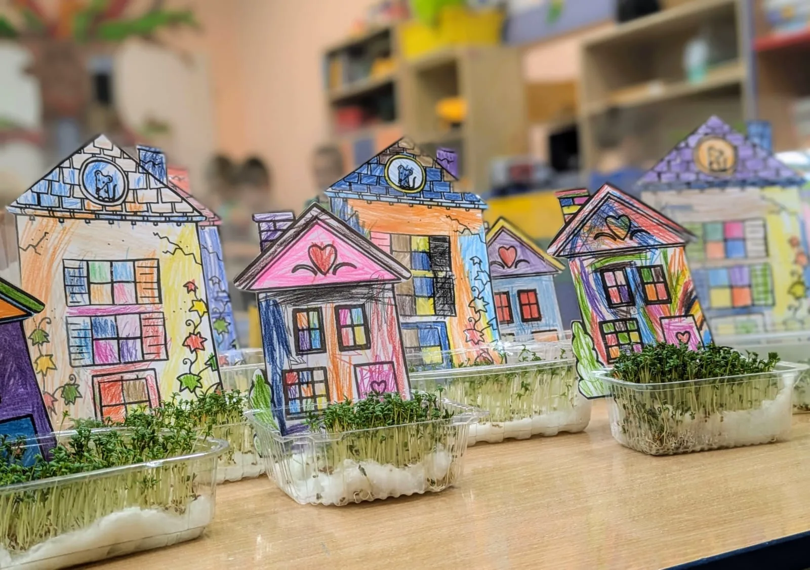 PHOTO 2024 11 12 16 27 35 8