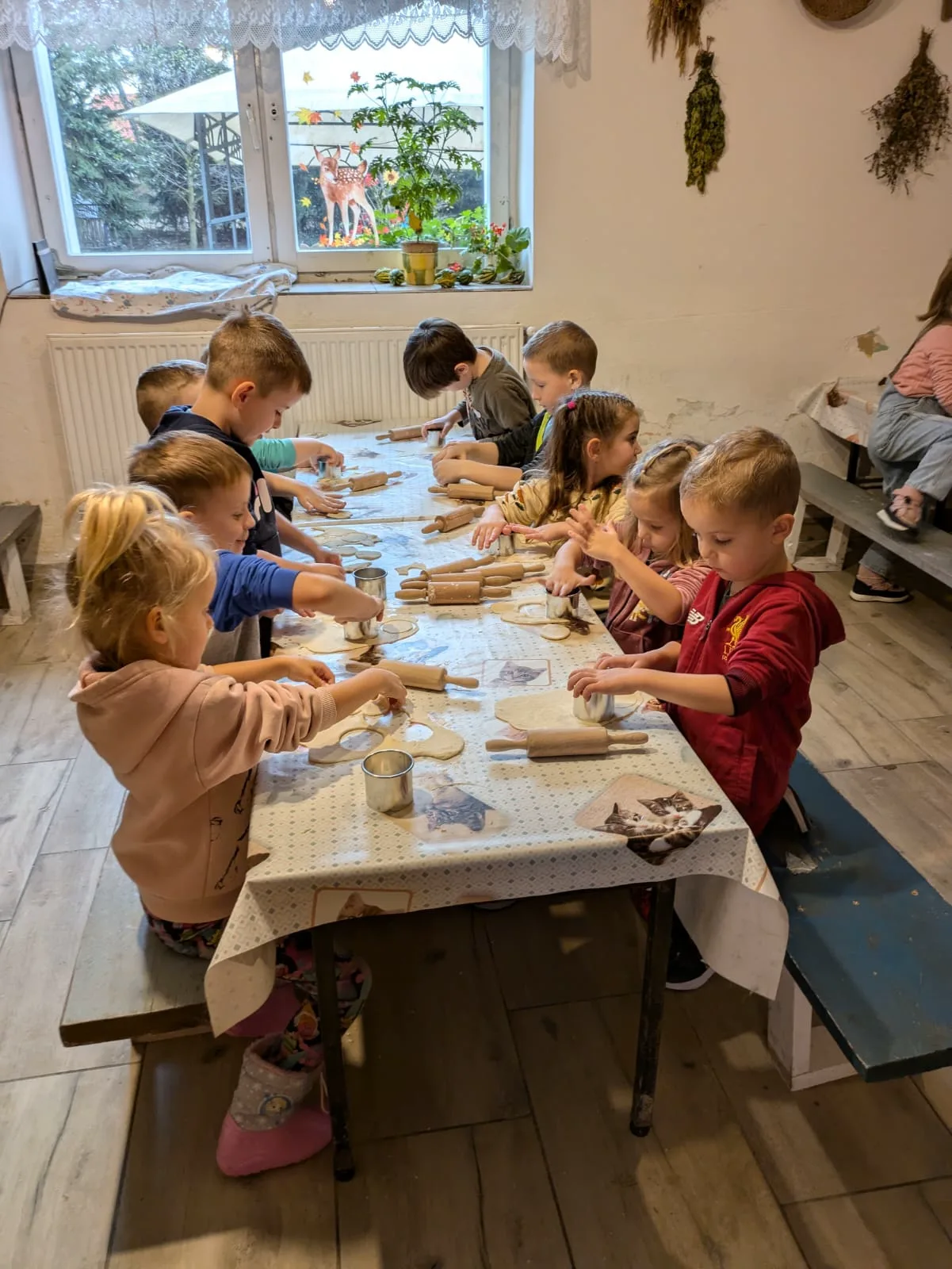 PHOTO 2024 11 21 06 54 25