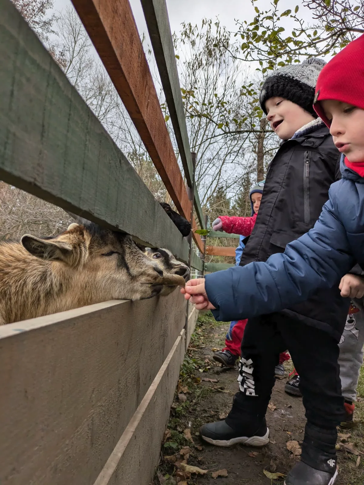 PHOTO 2024 11 21 06 54 26 8