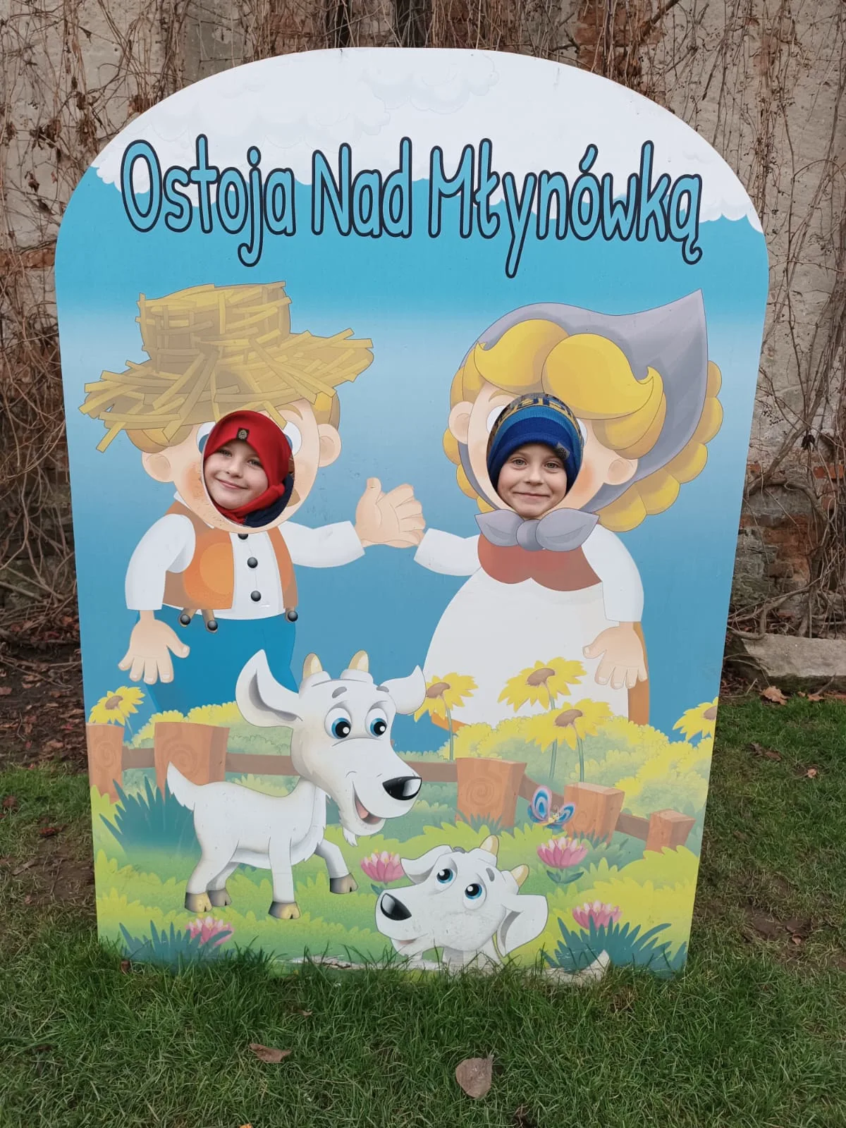 PHOTO 2024 11 21 06 54 26 9