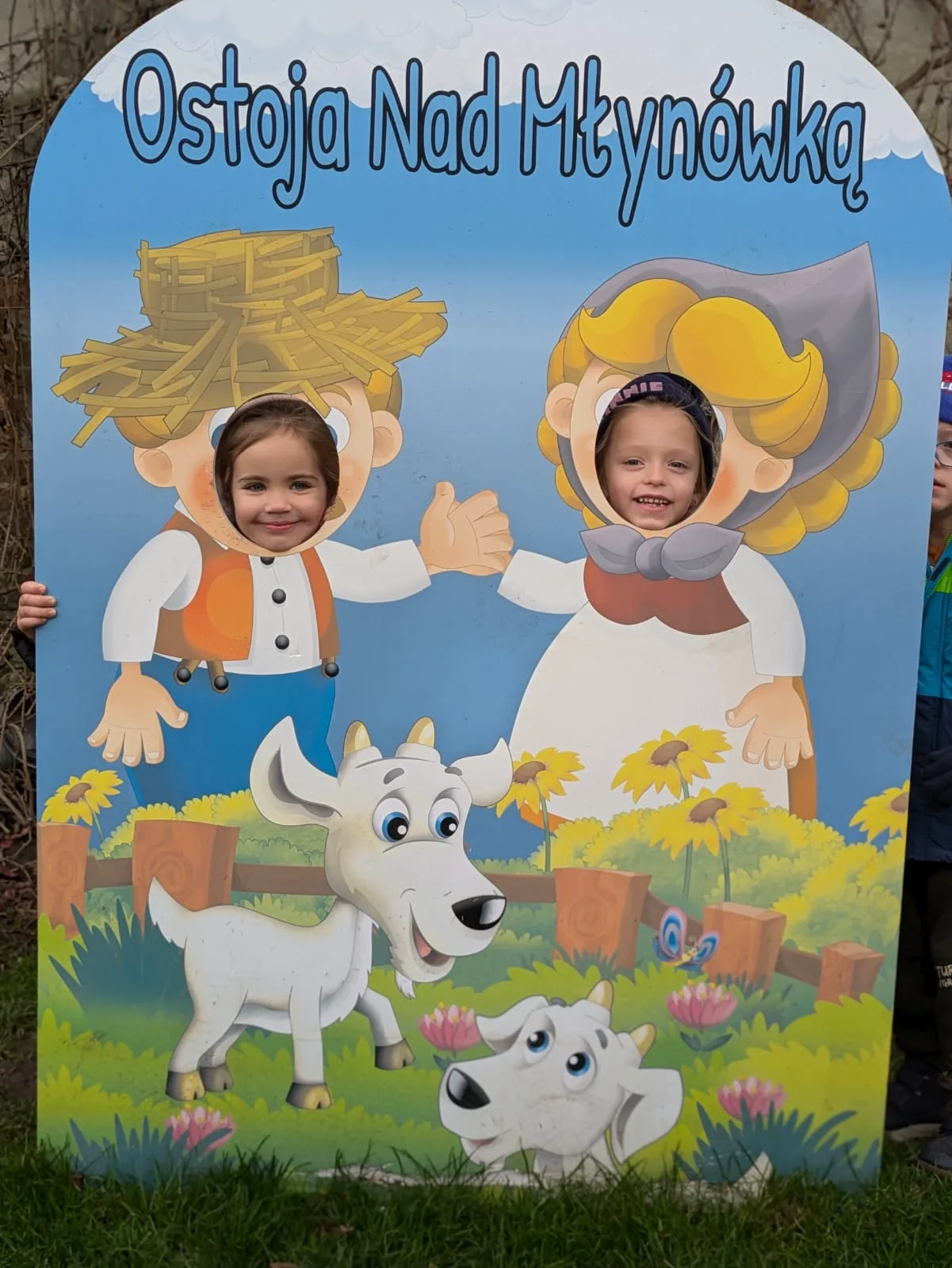 PHOTO 2024 11 21 06 54 48 4