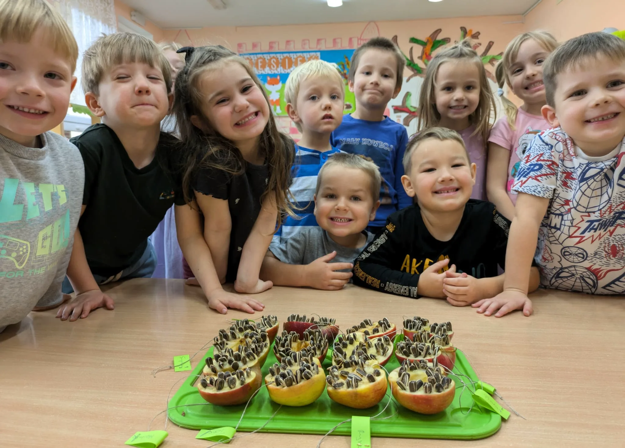 Tygrysy dokarmiają ptaki!