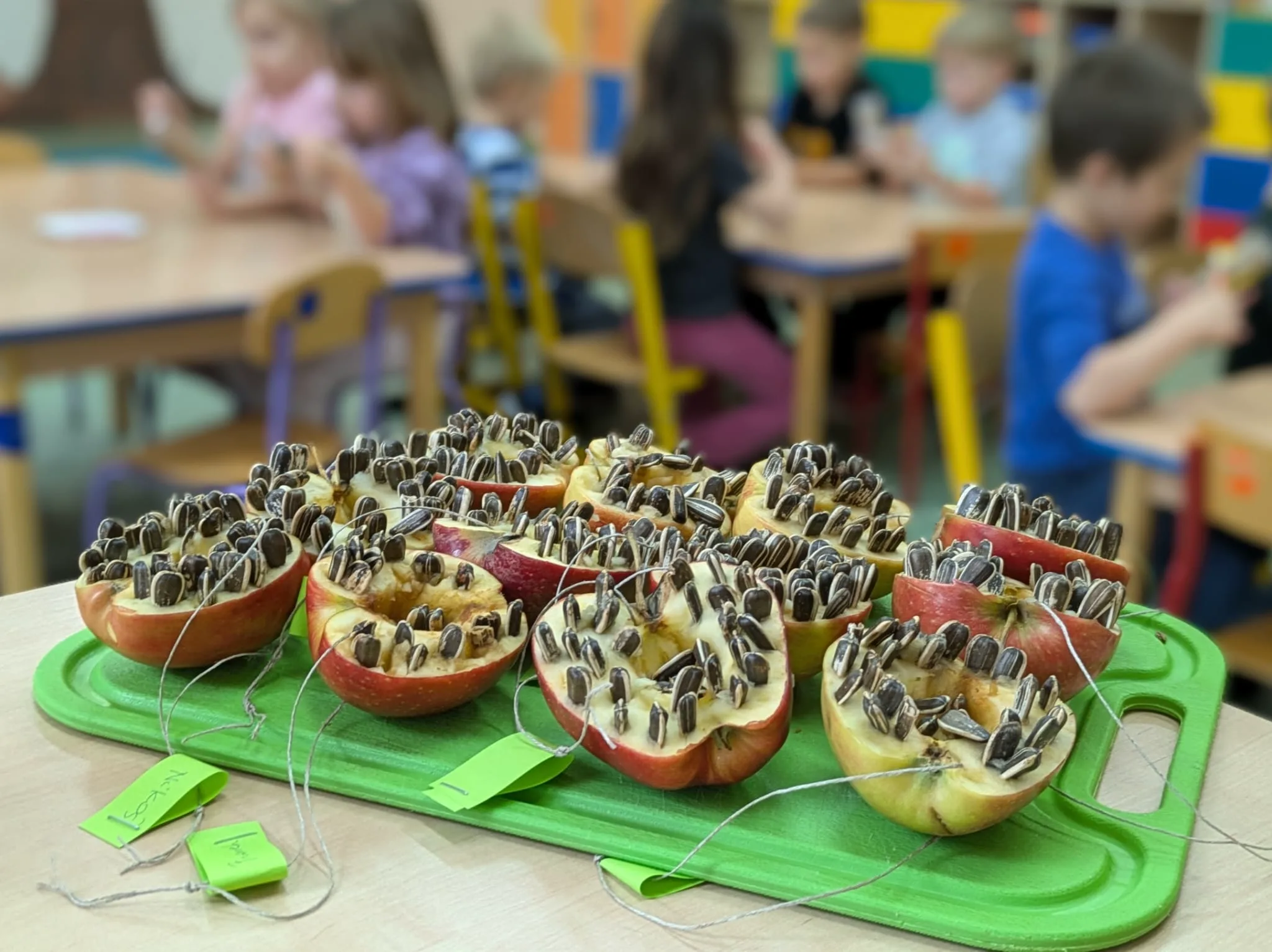 PHOTO 2024 11 22 08 15 04 3