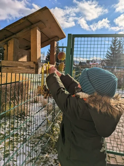 PHOTO 2024 11 22 08 15 07 2