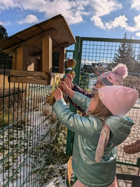 PHOTO 2024 11 22 08 15 07