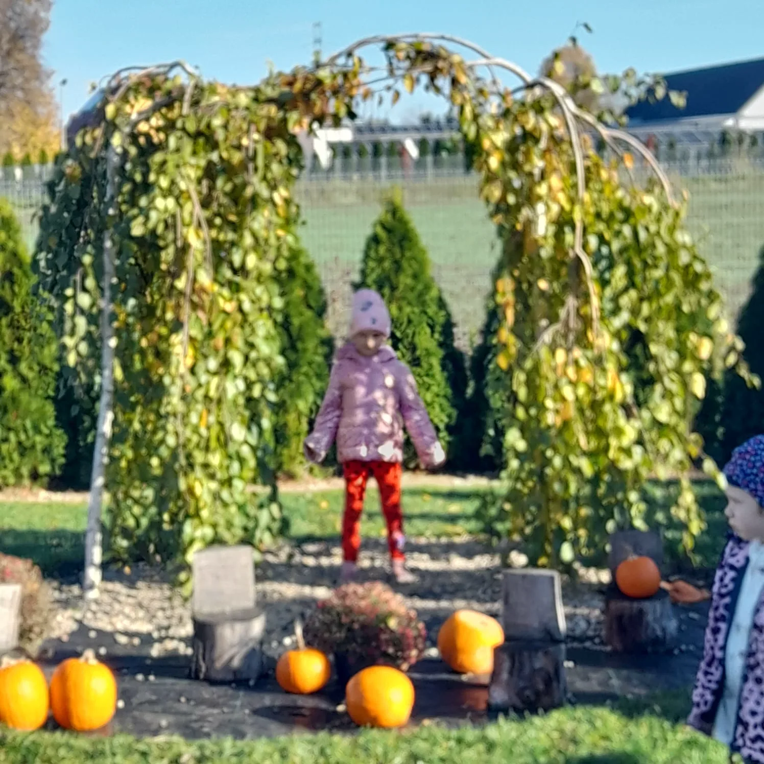 PHOTO 2025 11 09 19 14 21 3