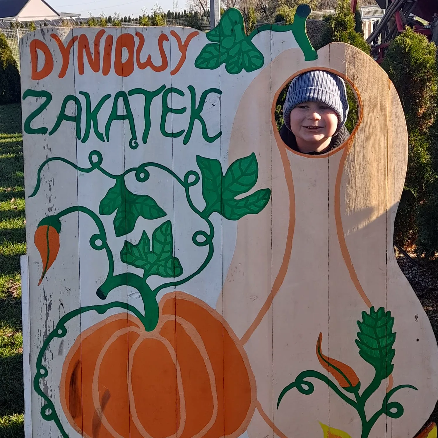 PHOTO 2025 11 09 19 14 22