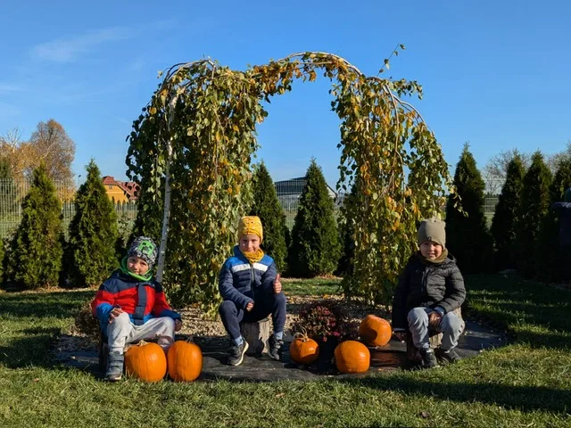 PHOTO 2025 11 09 19 14 24 3