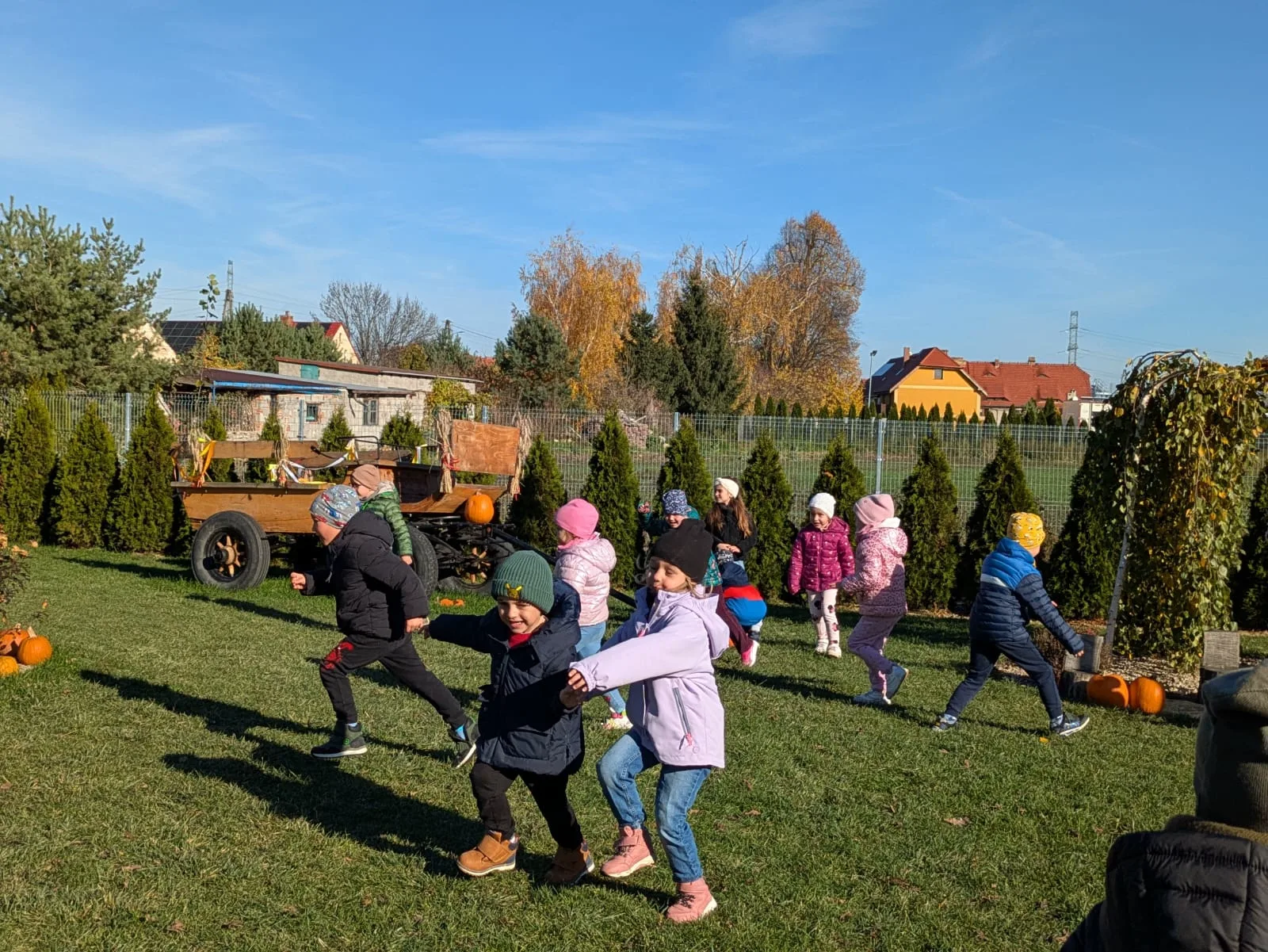 PHOTO 2025 11 09 19 14 24 4