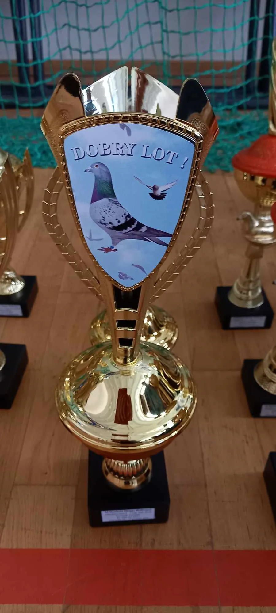 received 712355684155567.jpeg