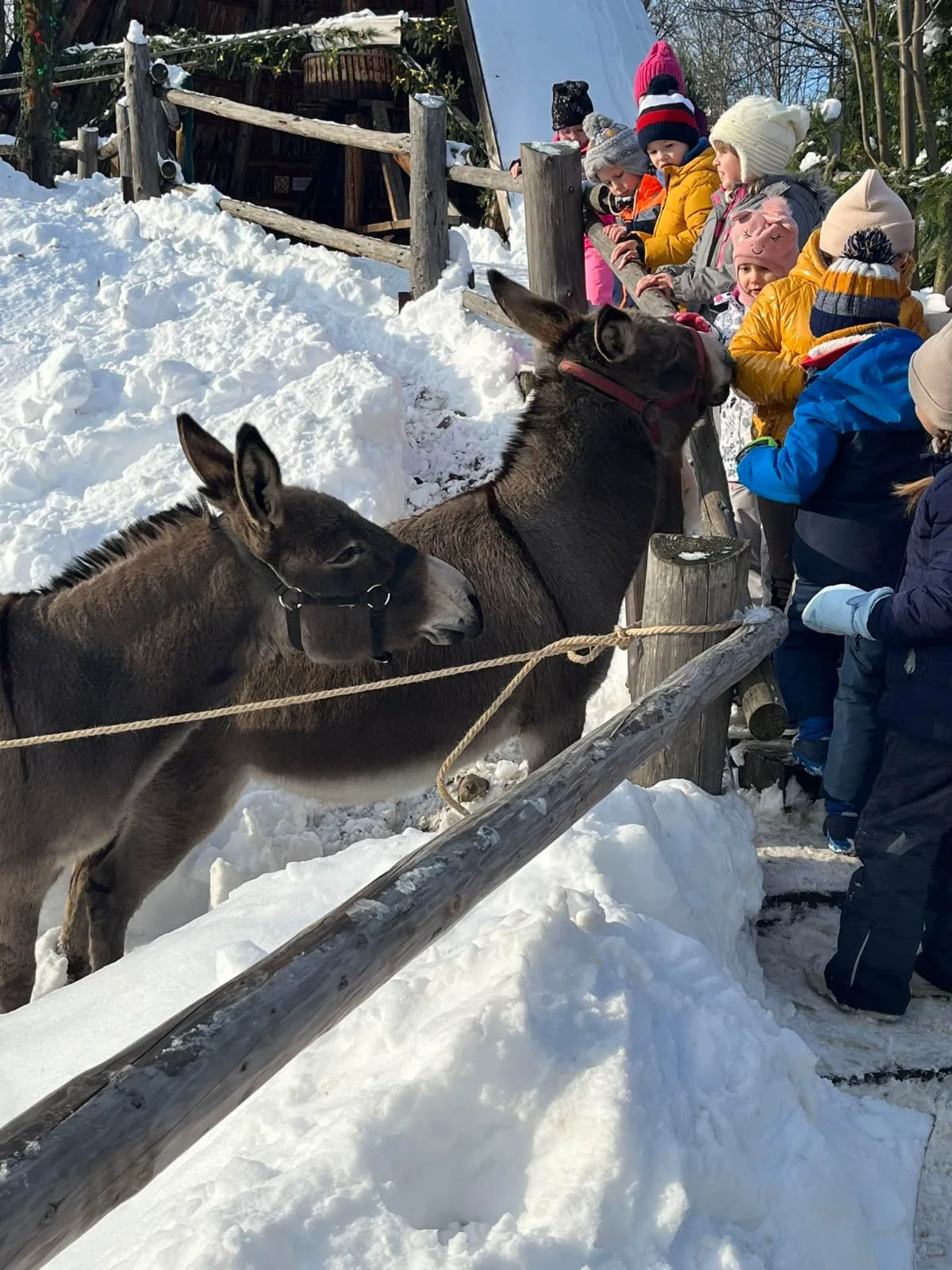 PHOTO 2023 12 07 08 59 10