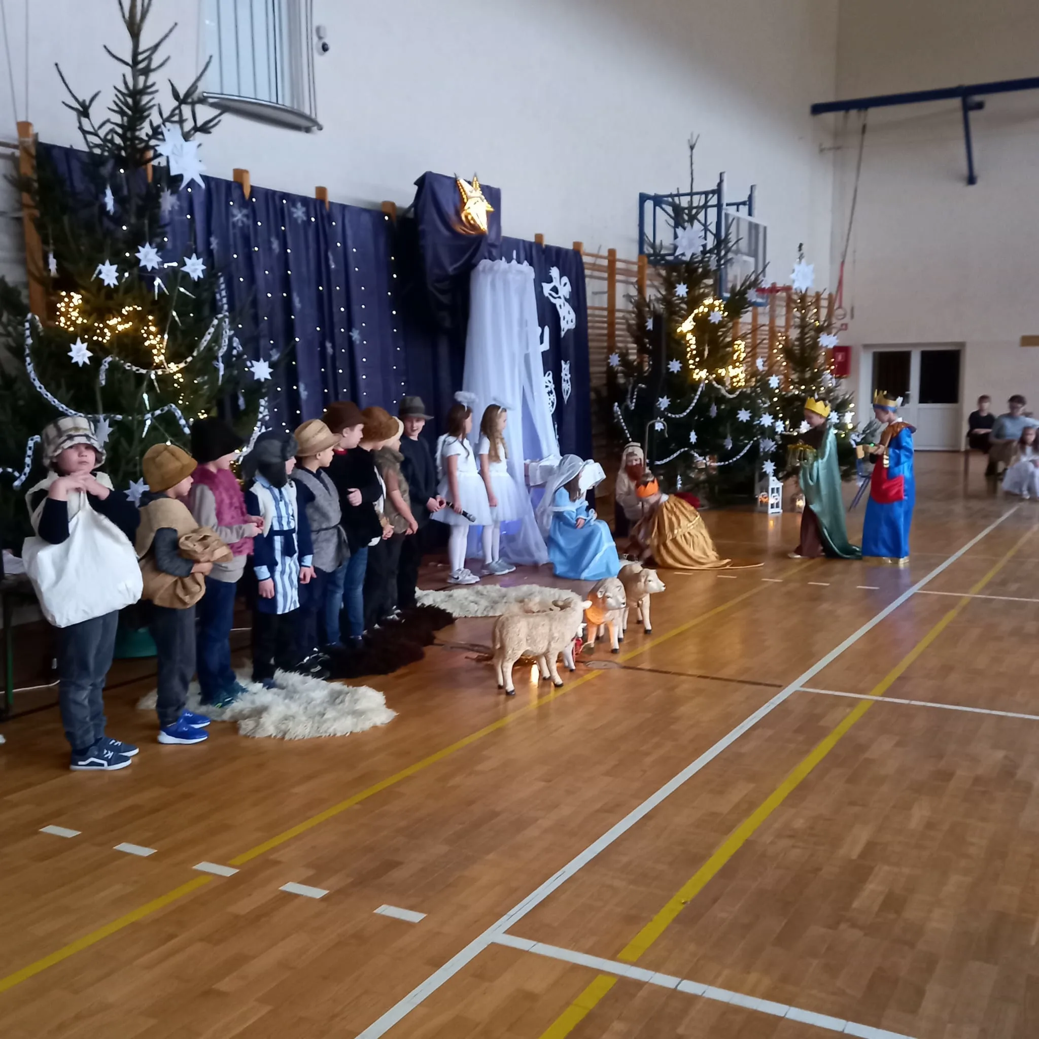 PHOTO 2024 12 20 15 08 03