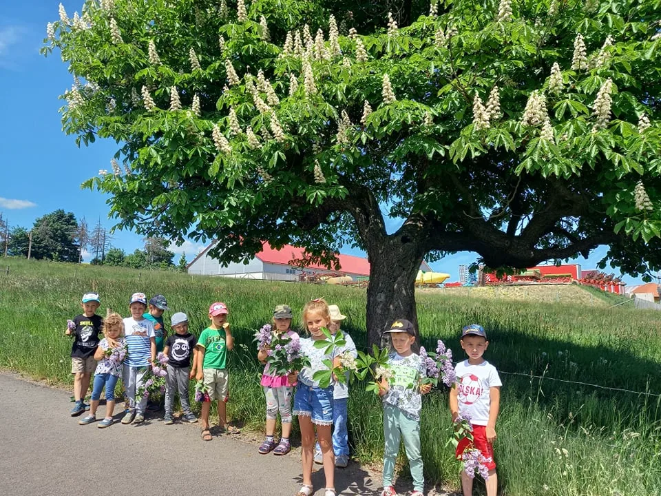 198157888 965071010923193 2190988915442800402 n