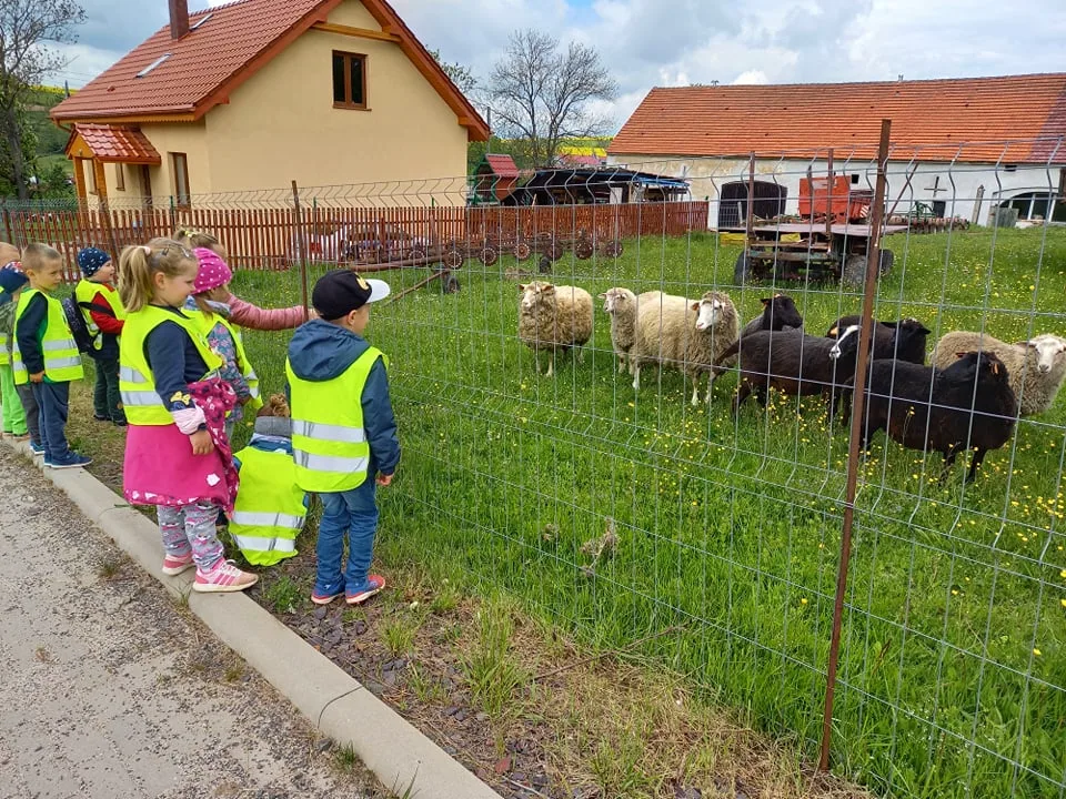 198267428 478524539890449 3355897124925003991 n