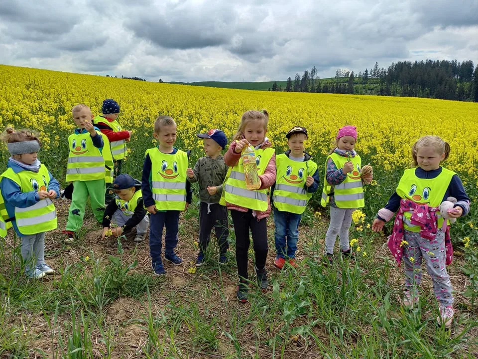 198271619 488843635688034 7325352979566745686 n