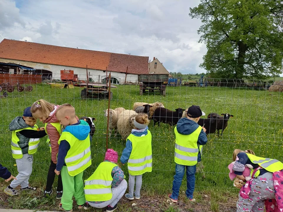 198480750 3956355194491231 5512658613772858647 n copy