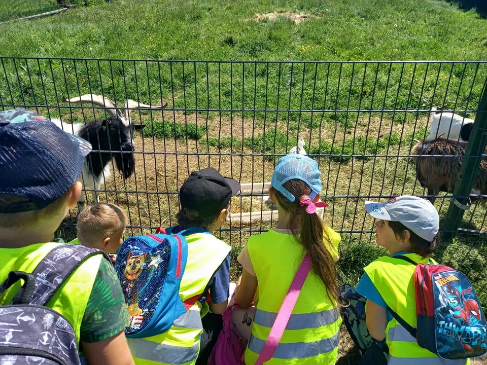 198713893 486034109321186 4807663620580498271 n