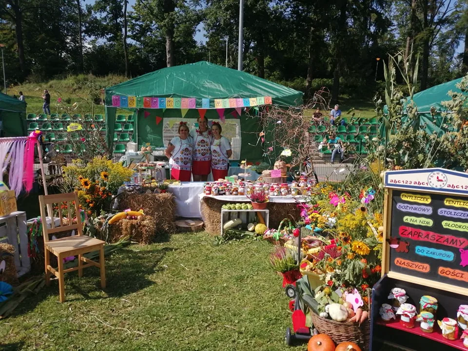 241497697 6684507071566756 252391051381293363 n