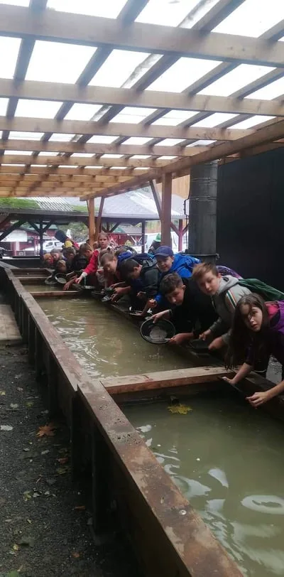 W poszukiwaniu złota