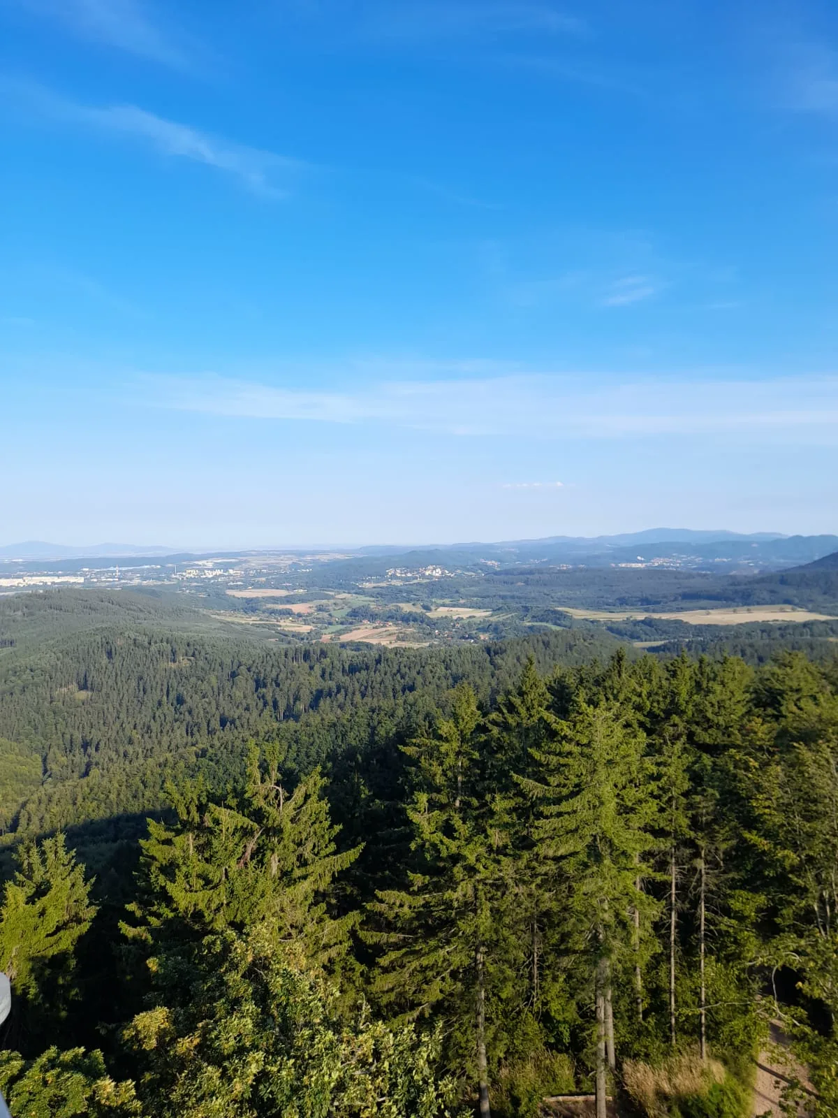 PHOTO 2021 09 12 11 48 31