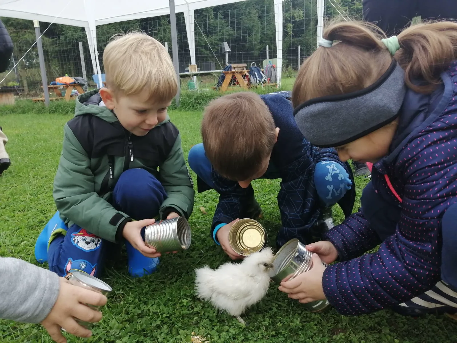 PHOTO 2021 10 07 17 51 12 1