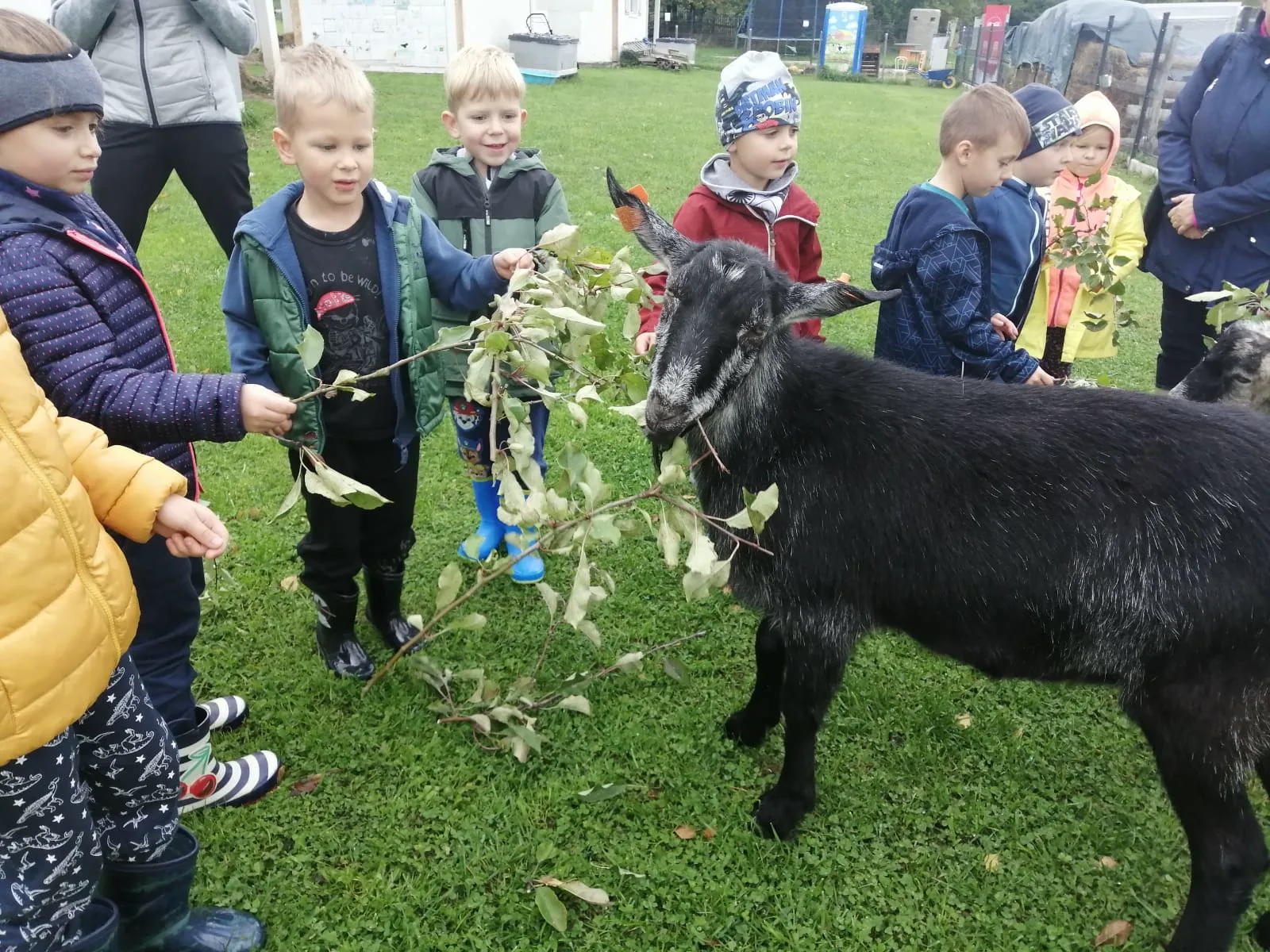 PHOTO 2021 10 07 17 51 15 1