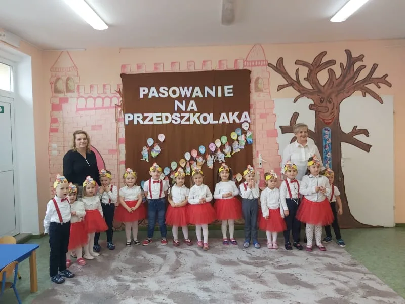 262687888 331027675126948 4368035700787685500 n