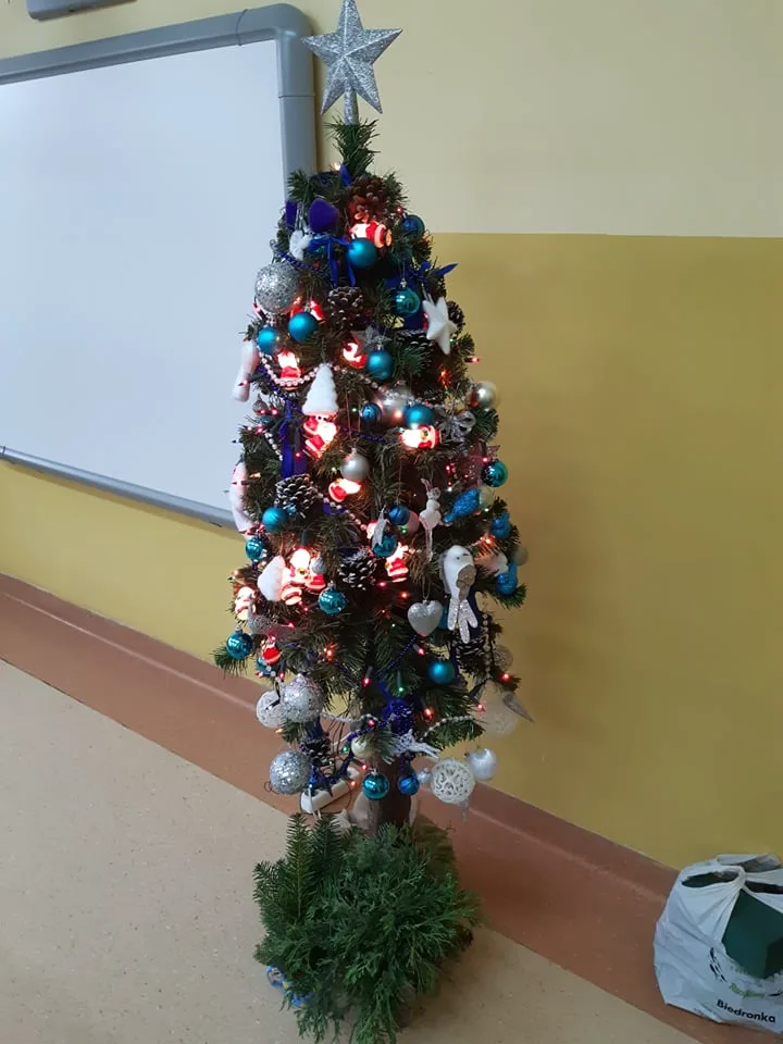 267003759 476917977182896 3012404248118171524 n copy