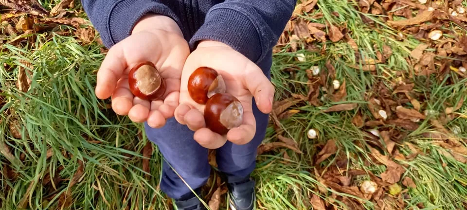 243217988 409055860637894 3354902284704519391 n