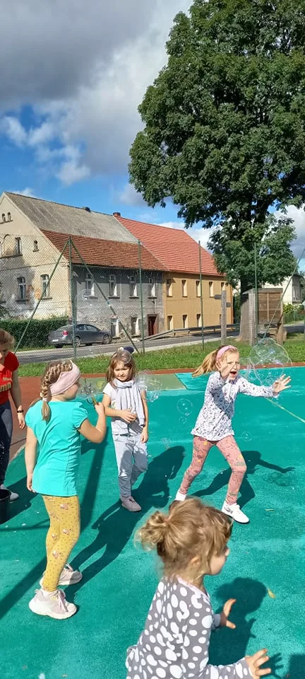 243341994 2004503606379602 2934154079352619137 n 1