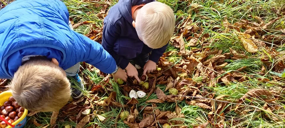 243442759 269110678278196 7668738733086774176 n