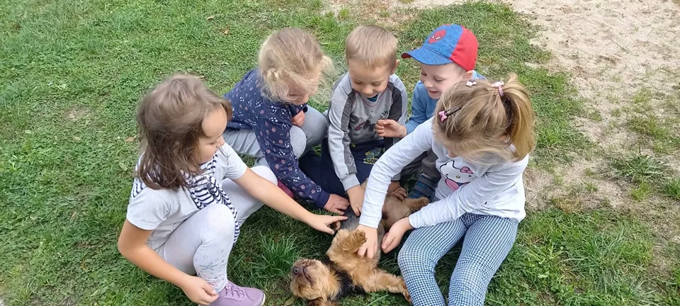 243863065 1085144062304023 2145773980764056817 n 1