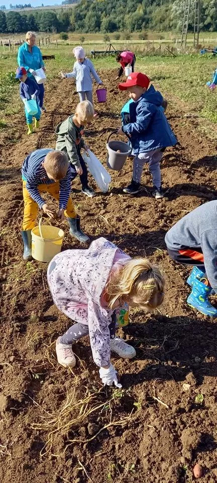 244006980 1271281233343281 70870794344934295 n